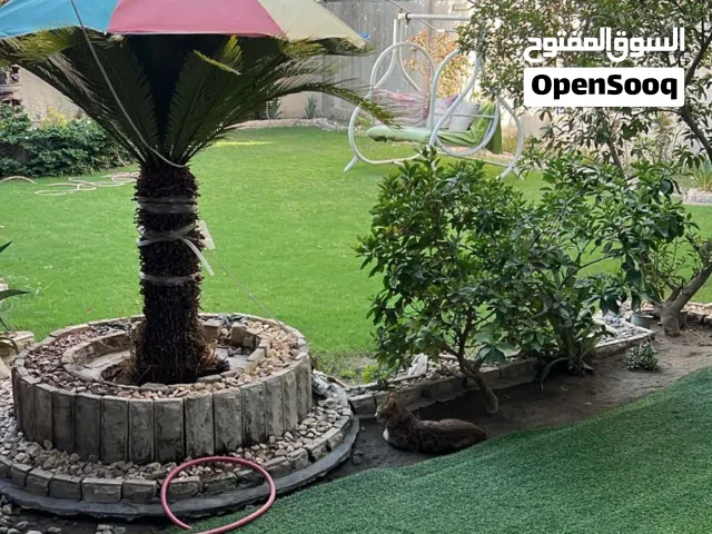 بيت للبيع او المراوس في المنصور 14 رمضان 375م