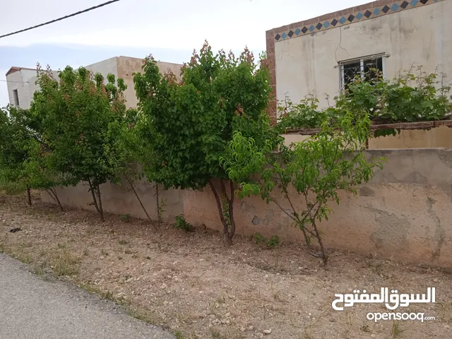 220m2 4 Bedrooms Townhouse for Sale in Amman Naour
