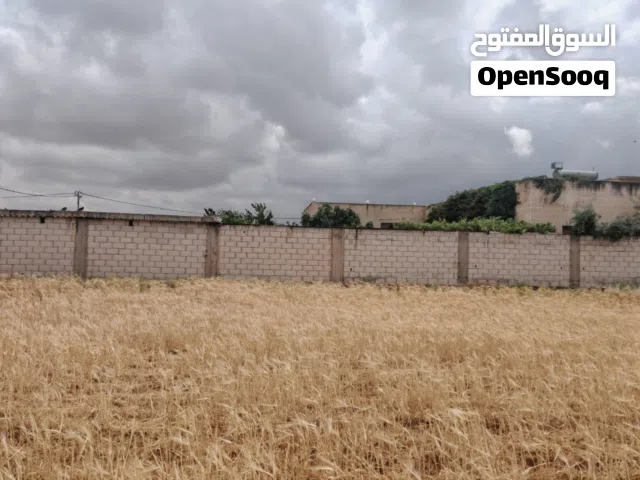 قطعة أرض الرمثا للبيع