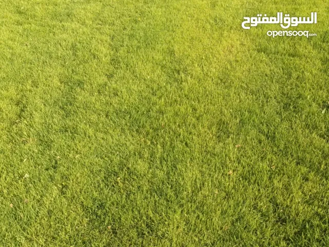 معشب طبيعي