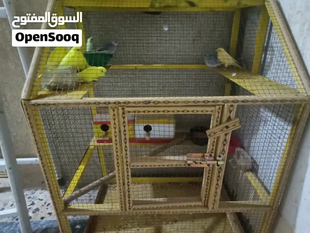 مطلوبببببب