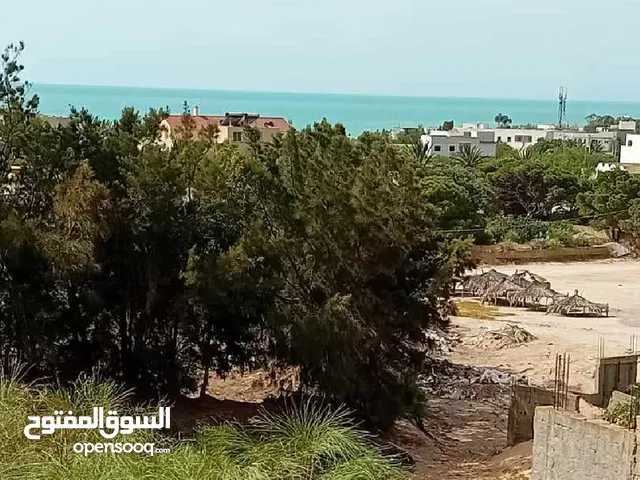 غار الملح بنزرت تونس