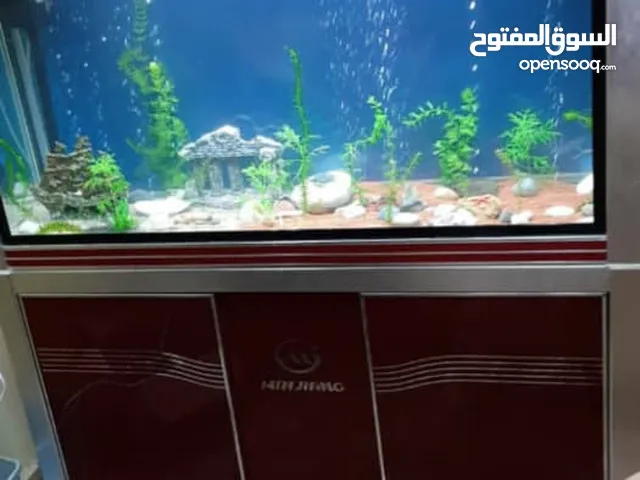 حوض حوت بيوليجي بالدولاب 1.20سم بجميع ملحقاته شاشه دجيتل عداد حراره 20ك تربه خاصه بالنبتات