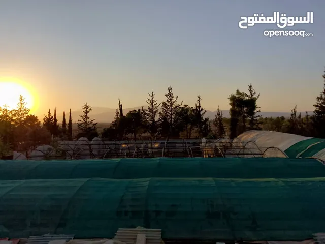 Mixed Use Land for Sale in Rif Dimashq Qatana