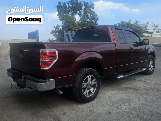ford f150 2010