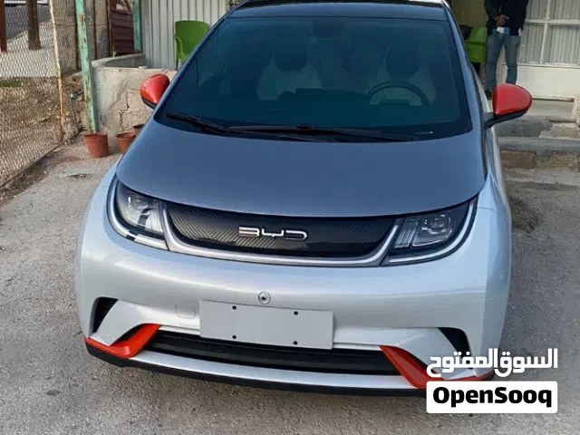 2021 بي واي دي دولفين