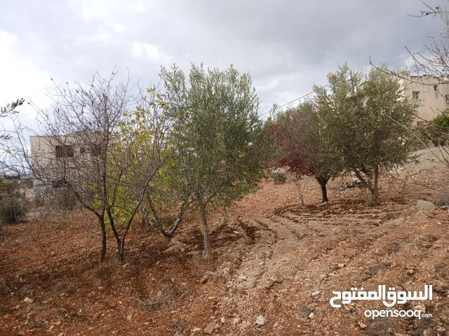 Residential Land for Sale in Ramallah and Al-Bireh Birzeit