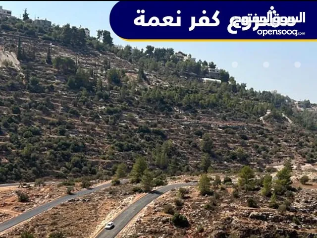 Commercial Land for Sale in Ramallah and Al-Bireh Kafr Ni'ma