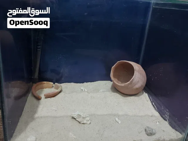 حوض سمك كبير (50 - 40 - 40) للبيع في عمان مع التراب و دفاي و فخارة (زينه)