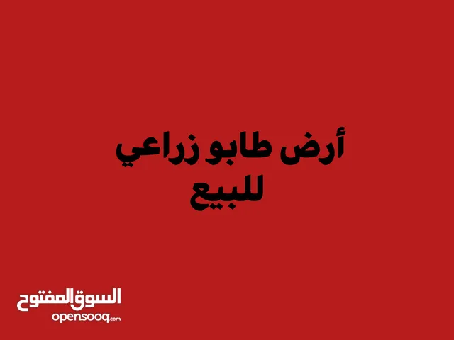 ارض طابو زراعي