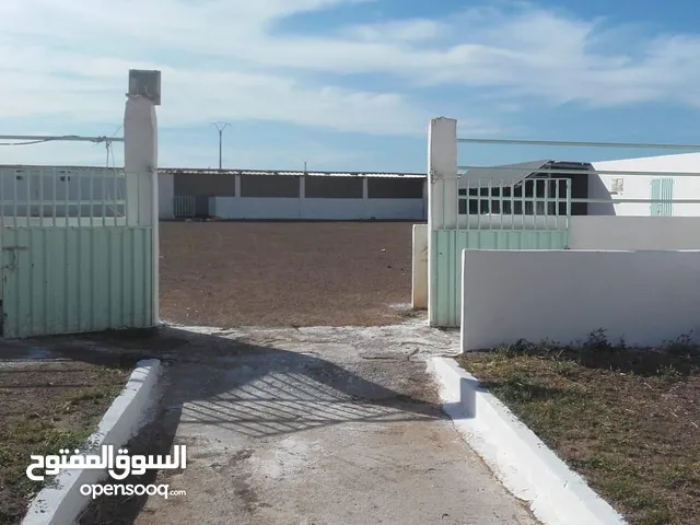 فيرمة بجماعة سيدي العايدي فيها 6هكتار بها مشروع السقي و لزاري لإستيراد الأبقار برخصة على الطريق