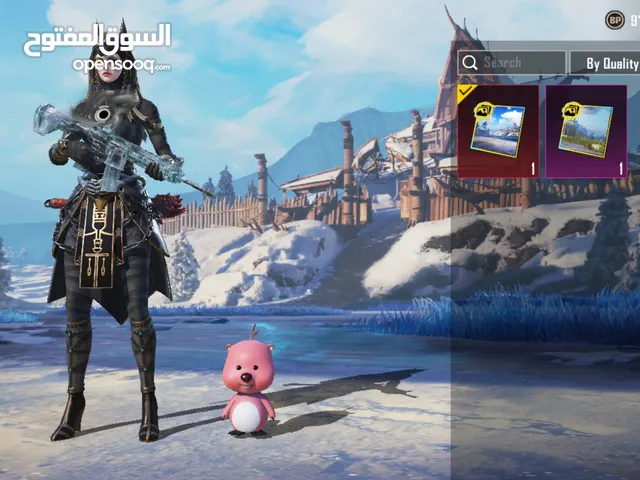 Pubg Accounts and Characters for Sale in Amman