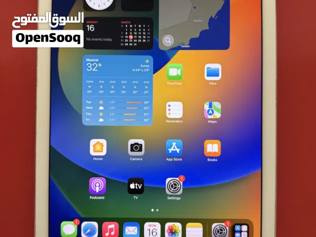 iPad Pro 9.7 inch - 256GB, SIM model (Touch ID not working)