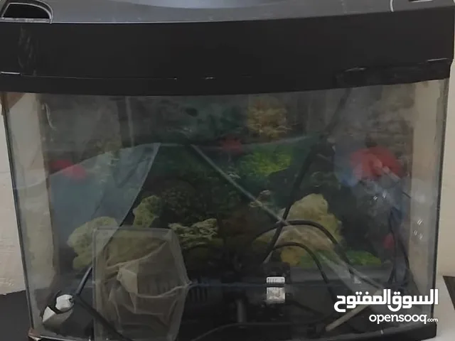 Fish tank sale