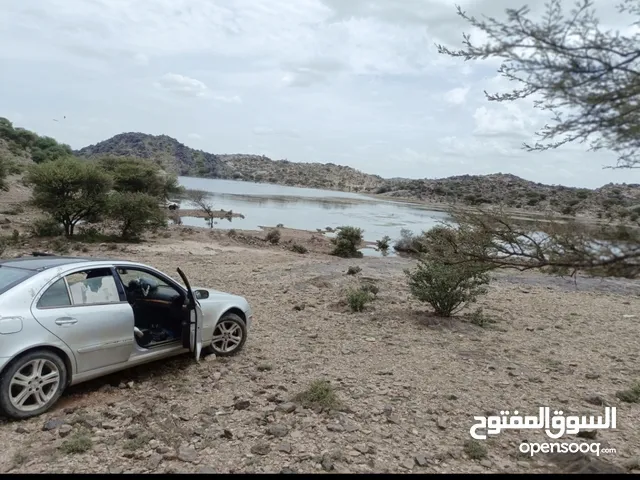 مرسيدس بنز