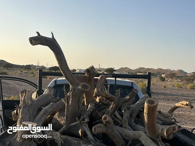 حطب للبيع اقرا الوصف