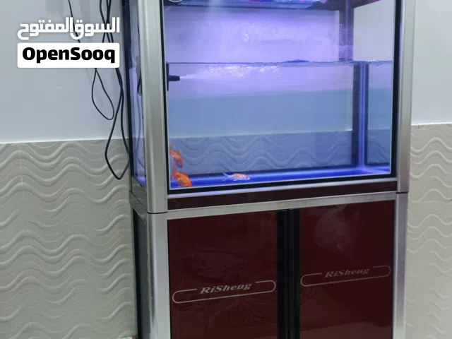 حوض سمك زينة