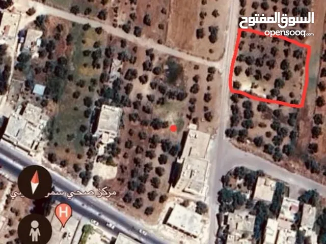 Residential Land for Sale in Irbid Sammou