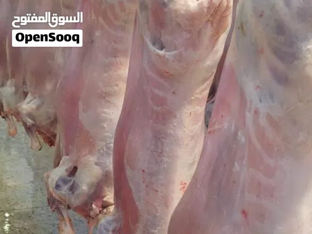 توريدلحوم من المراعي الأفريقية