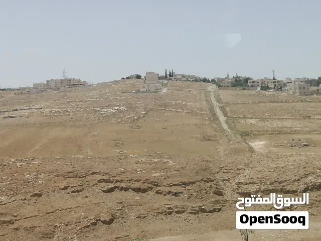 ارض للبيع الكرك المرج المرد