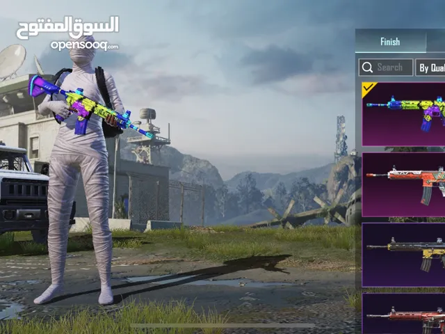 Pubg Accounts and Characters for Sale in Saladin