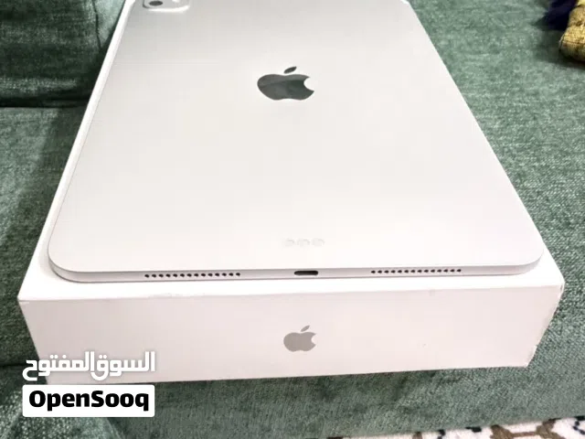 Apple iPad Pro 11 256 GB in Muscat