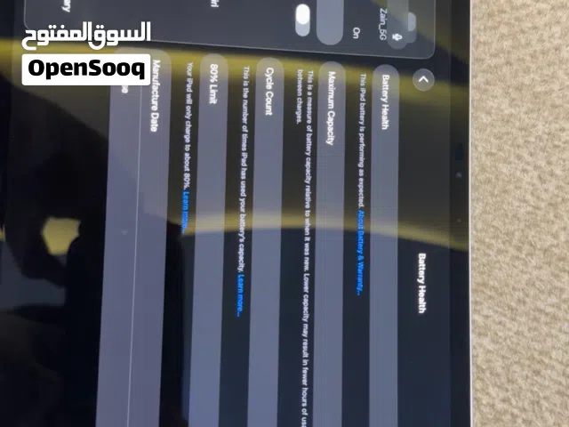 Apple iPad 256 GB in Amman