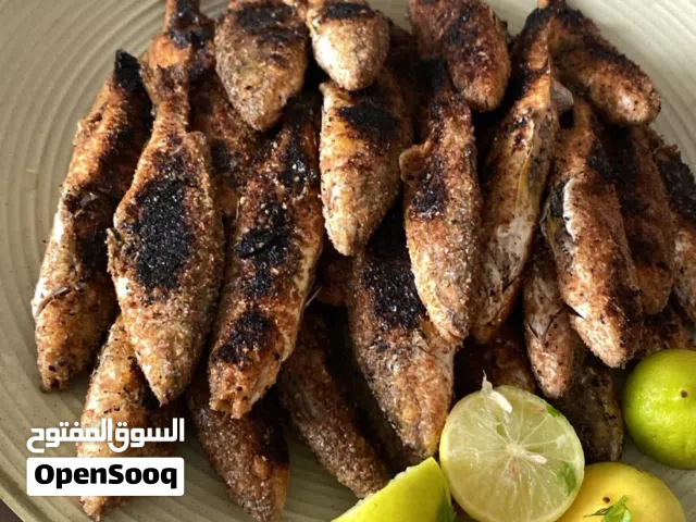 قطه جامده اووووووووييييي