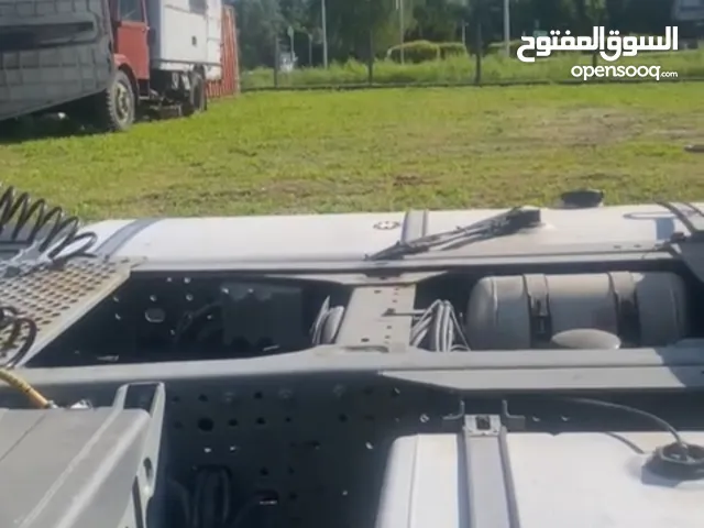افيكوا وطواط