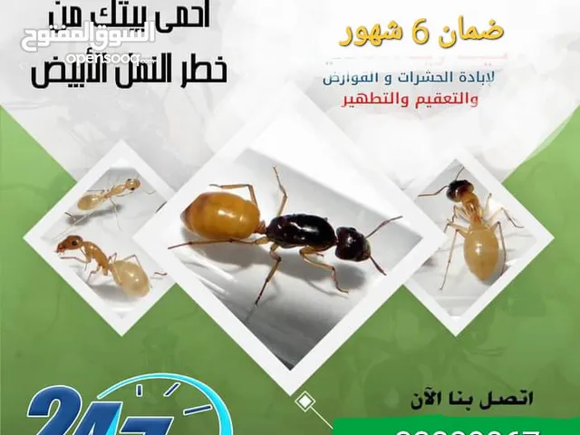 مكافحة الحشرات والزواحف والقوارض