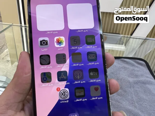 iPhone 13 Pro Max 1Tg