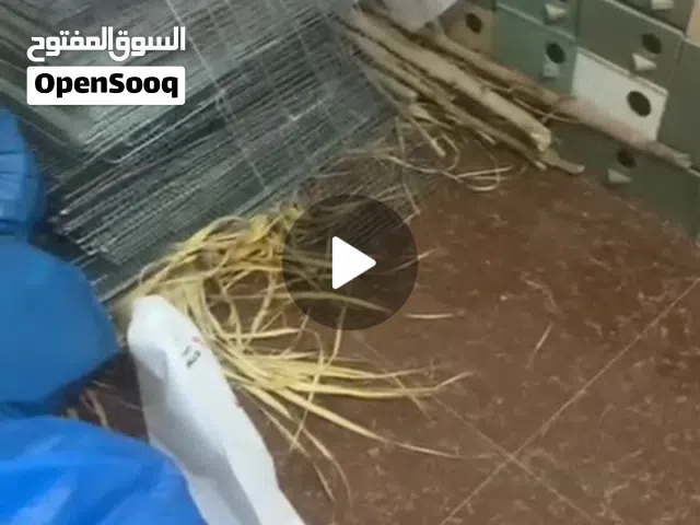 متوفر قفاص مشكل 8 معالف 3 معالف 2 معلف + كواخ حب او روز