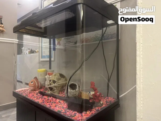 حوض سمك كبير جديد كامل