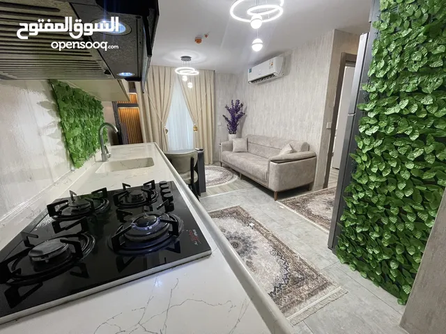 شقة غرفة وصالة سكنية مفروشة للإيجار