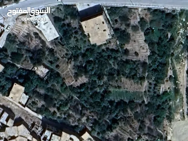 Farm Land for Sale in Batna Other
