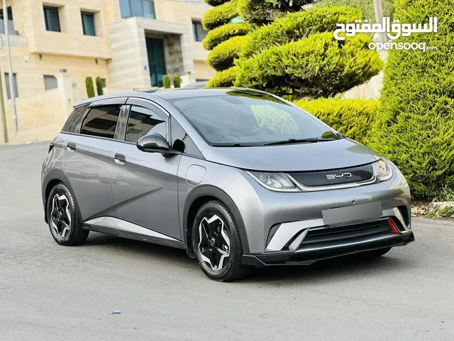 Used BYD Seagull in Amman