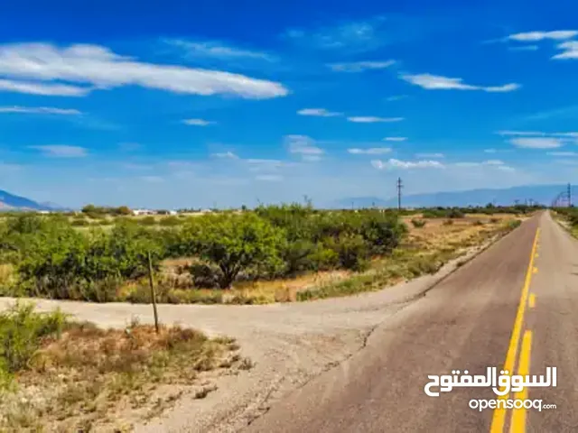 للبيع قطعة أرض فيلا استثنائية للبيع في لؤلؤة جميرا، دبيFor Sale Exceptional Villa Plot for Sale in P