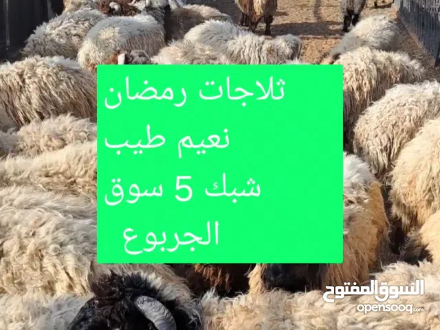 نعيم طيب #