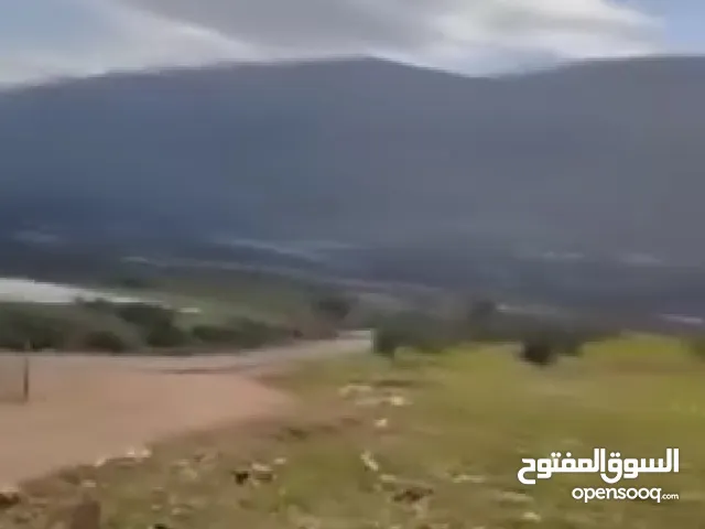 بيع ارض بالنصاريه