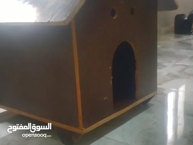 بوكس يمشي مع الكلاب الزينه والقطط لي البيع حرق