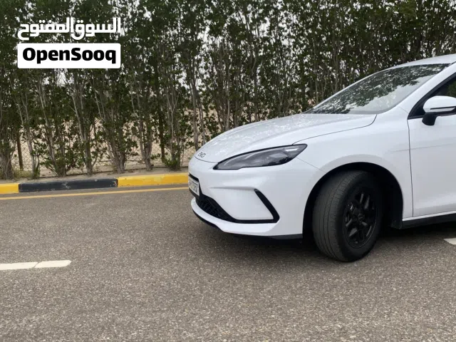 2025 بي واي دي G3