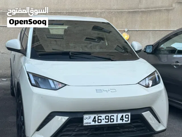 2024 بي واي دي سيجول