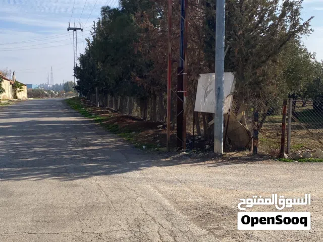 Farm Land for Sale in Amman Umm Al-Amad