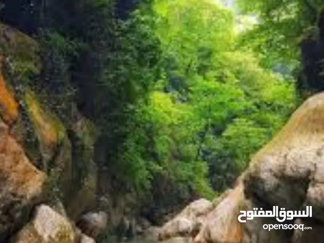 سیاحیة والسفر في الایران