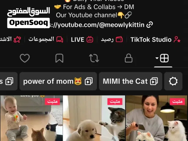 Social Media Accounts and Characters for Sale in Irbid