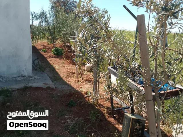 بيت للبيع مع حديقه جميله بسعر مغري