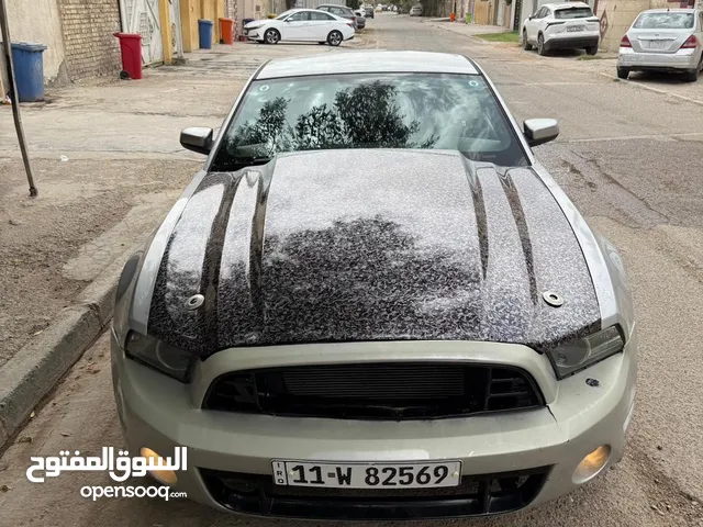 موستنج نضيف للبيع