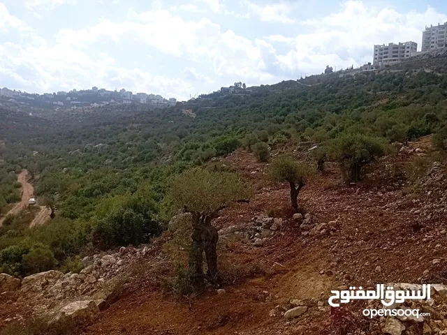ارض بناء بين كوبر وبيرزيت بالقرب من اسكان نقابة جامعة بير زيت ومقابل مشروع تلال بيرزيت