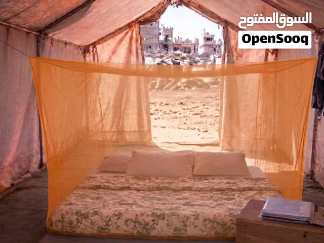 ناموسيات البعوض والحشرات