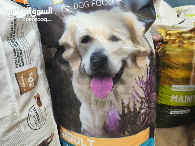 اكل كلاب دافينوس 20 كيلو